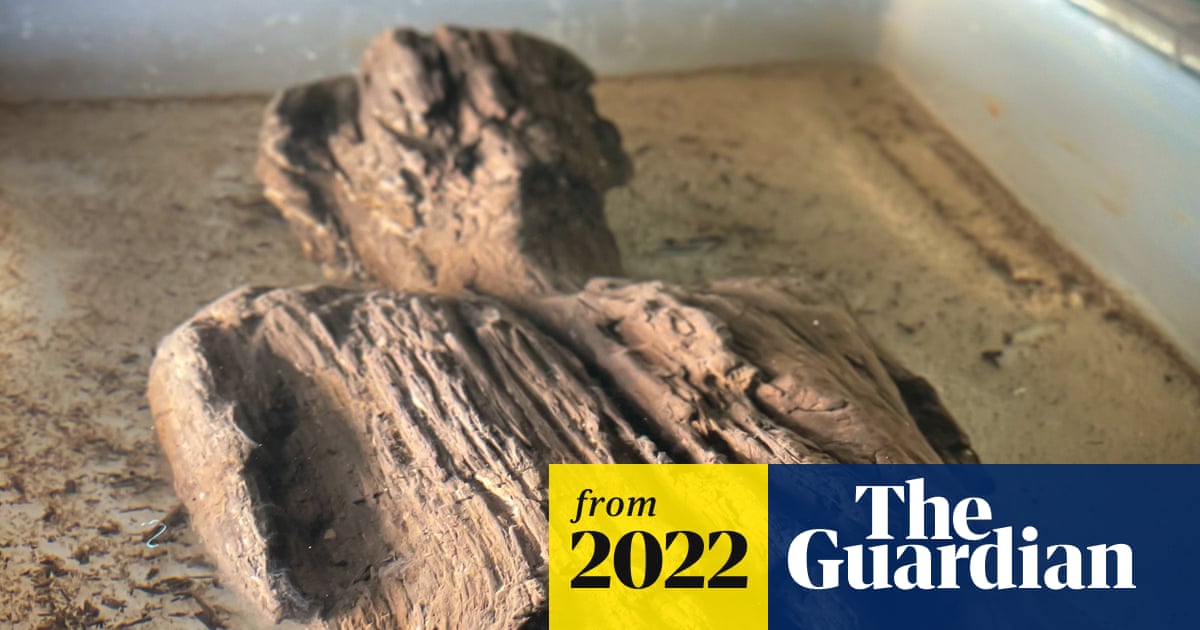 KSC_Classics's tweet card. Preservation of figure carved from single piece of wood is incredible, say archaeologists