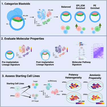 JesperTegner's tweet card. Stem cells research; Developmental biology; Transcriptomics