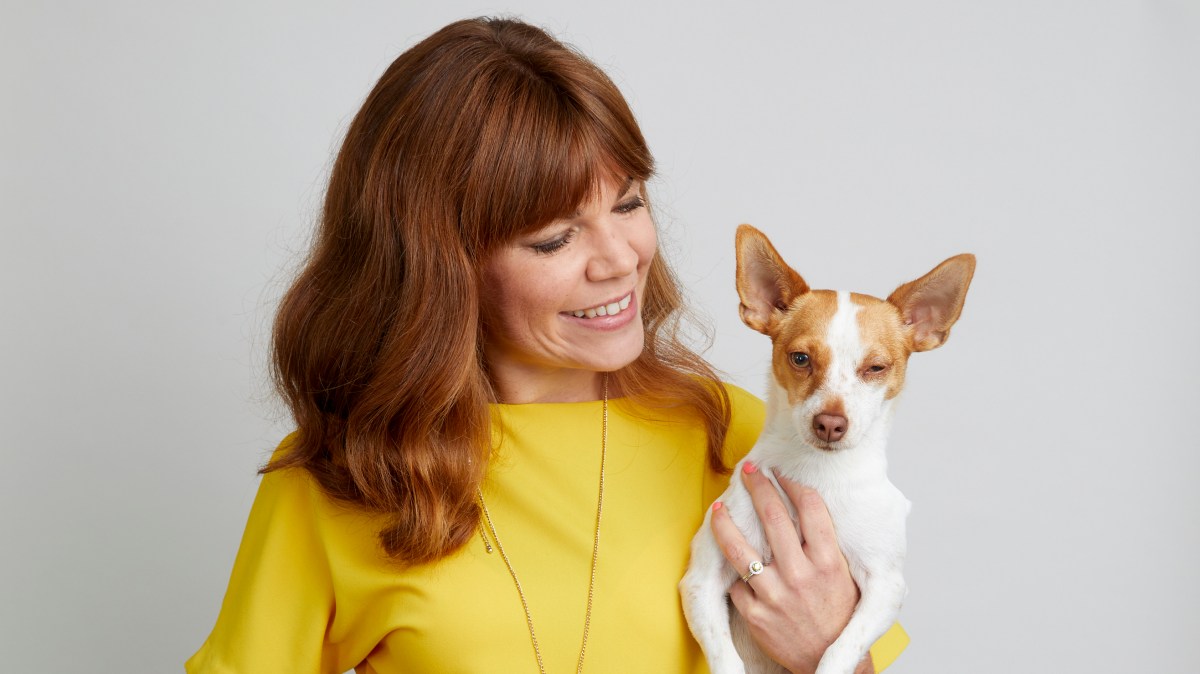 holly_mead_'s tweet card. A dash for canine toothpaste had me wondering if good customer experience translates to stock market success