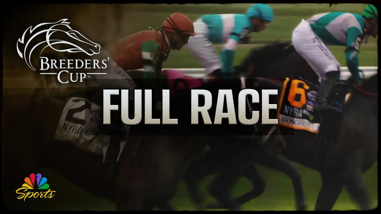 AI_Acceleration's tweet card. 2025 Haskell Stakes (FULL RACE) | NBC Sports