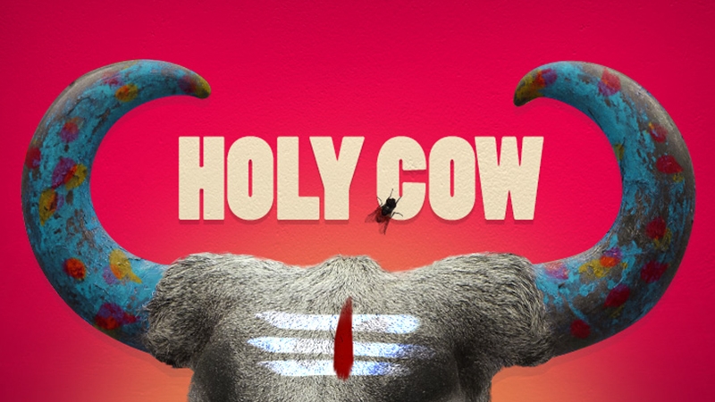 CommonFolks_in's tweet card. நூல் அறிமுகம் : பசுவின் புனிதம்