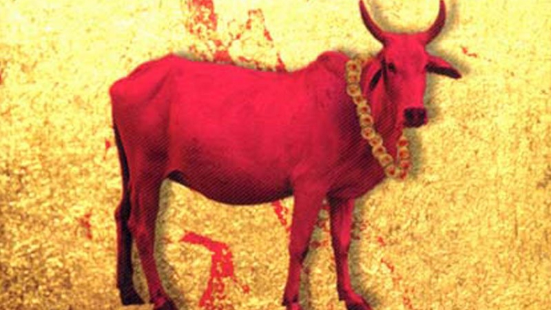 CommonFolks_in's tweet card. பண்டைய இந்தியாவில் மாட்டுக்கறி சாப்பிடுவது இயல்பாக இருந்தது!