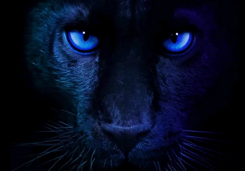 techolay's tweet card. Intel, Core Ultra Series 3 “Panther Lake” işlemcilerini CES 2026 kapsamında 5 Ocak’ta tanıtacak. Yeni seri, Intel’in 18A sürecine geçiş yapan ilk tüketici