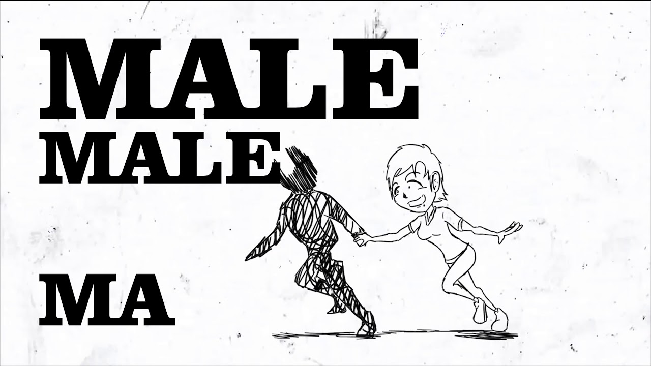 PALMAGUIDO's tweet card. BC - Male ft. Lina R. (Official Video)