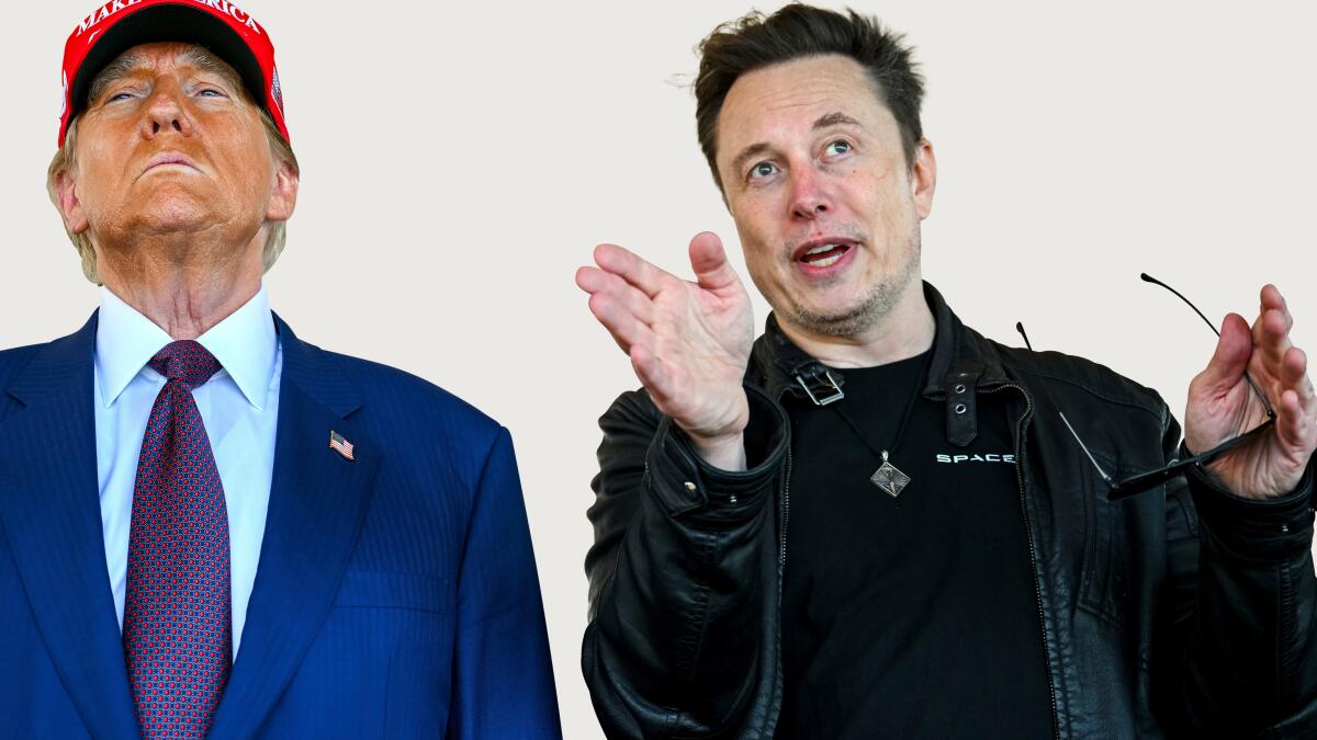 bryancblum's tweet card. Elon Musk has benefited from his close alliance with Donald Trump, as the president has ousted federal officials who had overseen departments investigating the billionaire's multiple companies.