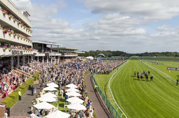 BetCoUK's tweet card. Read our Haydock betting preview for November 21st, 2025 from horse racing expert James Woods as he selects four horses to follow....