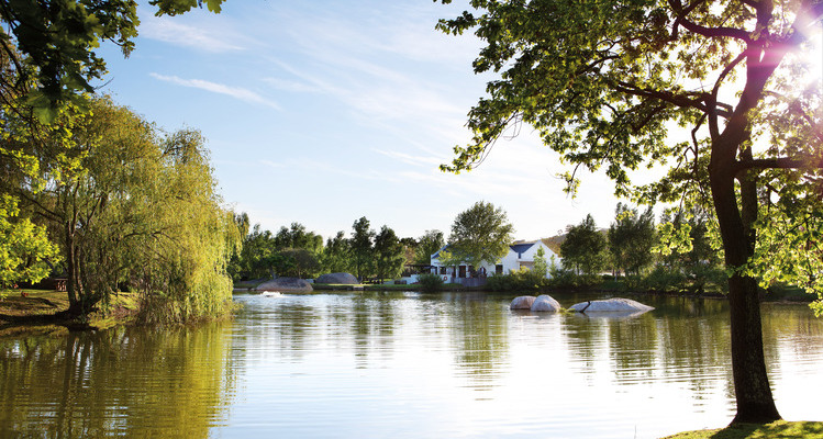 VisitStellies's tweet card. These unmissable Stellenbosch wine farms invite guests to linger all day in spectacular settings, with fantastic food, wine, and more.