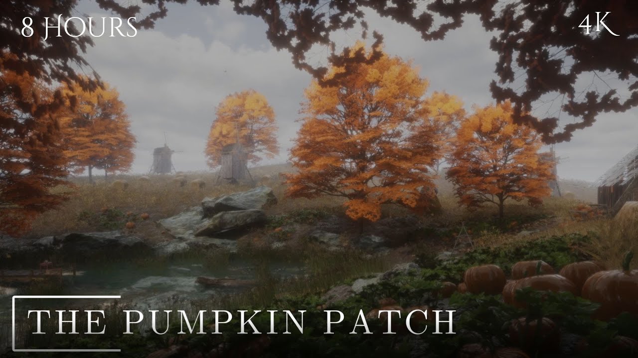 ArtStrongArts's tweet card. Ambient Collection of Stormy Rainy ASMRs for Sleep Aid, Study, and...