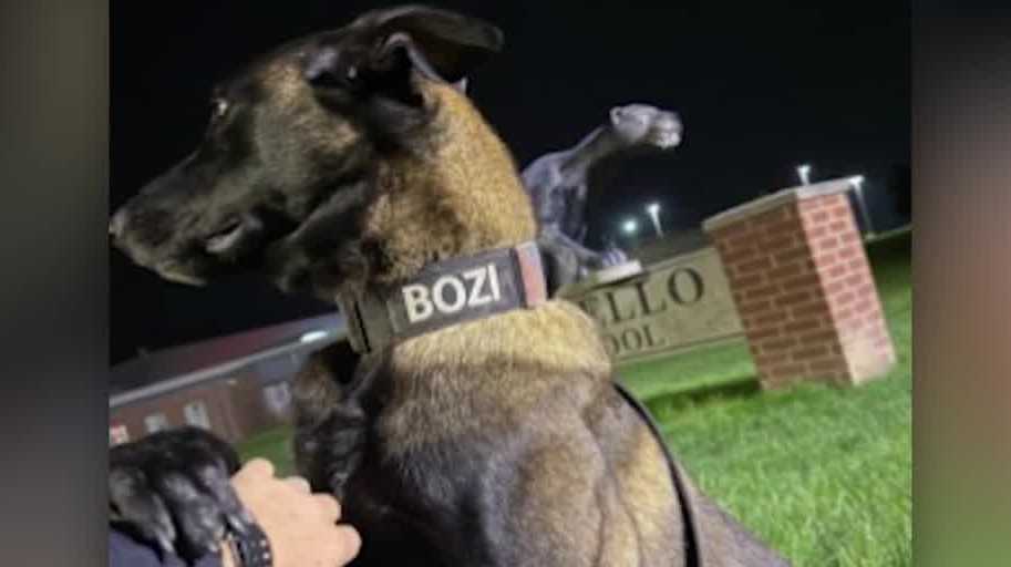 dogtreatsmart1's tweet card. Dog Finds Fur-Ever Home With Police Chief After Failing Out of K9 Program – Smart Dog News
