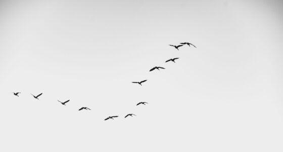 ellie_eberlee's tweet card. Can they really both be mine, these feral fingers and the brain so ostensibly in control?