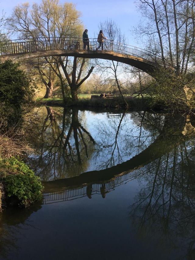 afwesty's tweet card. Lost in the System I have been looking at the King’s Fund report Lost in the System. It is distressingly familiar, both for people attempting to use the NHS, and those attempting to provide a…