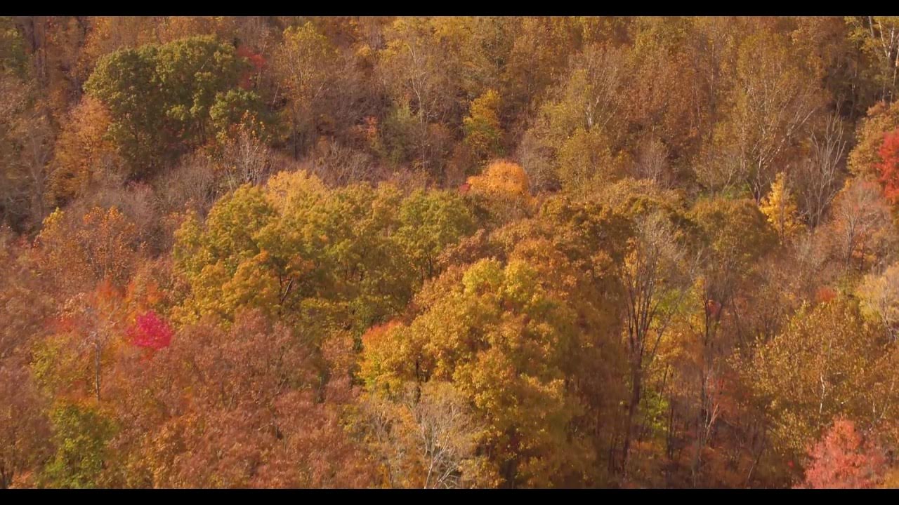 AerialvisionFjs's tweet card. The Canopy is on Fire