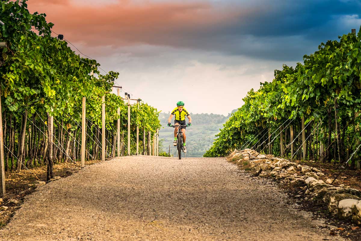 Guide_Velo's tweet card. Le 1er juin, 38 km sans voiture entre Dambach-la-Ville et Bergheim, au rythme du vélo, du vin… et des tartes flambées.