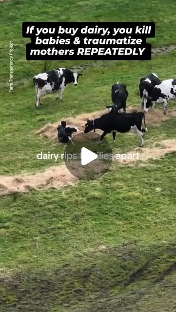 RavenTW's tweet card. Trish Raven (@raventw) • Instagram reel