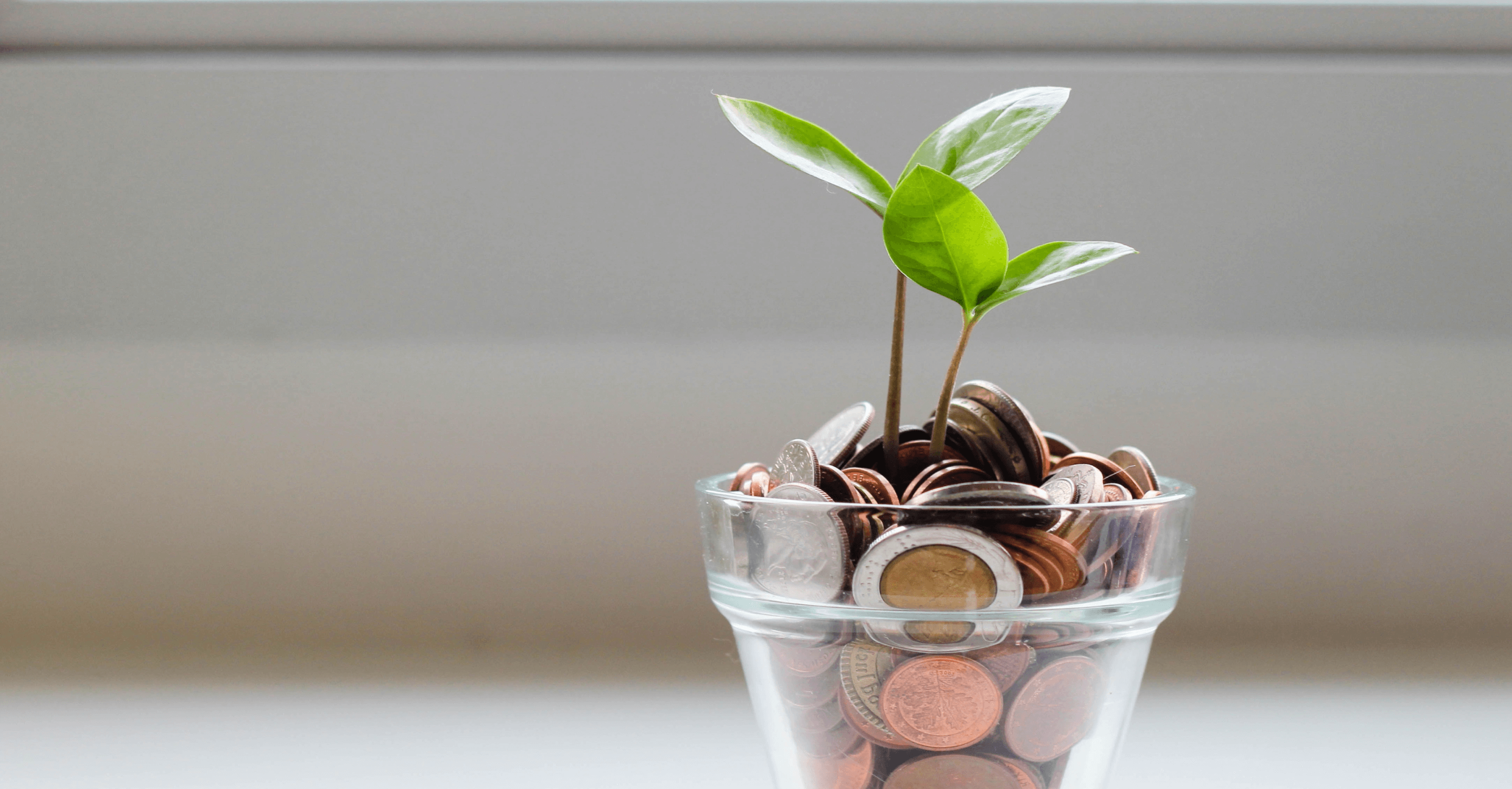 Shannon_Trust's tweet card. Give someone a chance to learn to read and improve their numeracy skills by donating to Shannon Trust.