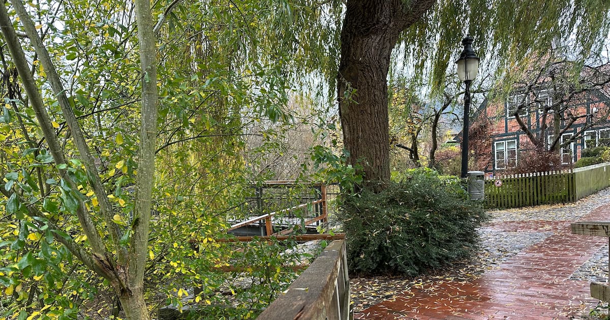 wyschilgod2019's tweet card. Das neue Wanderbuch „Artenvielfalt erleben“ stellt besondere Spaziergänge durch Kreisstadt und Umgebung vor. Wo die Wege entlang führen und was sie auszeichnet.