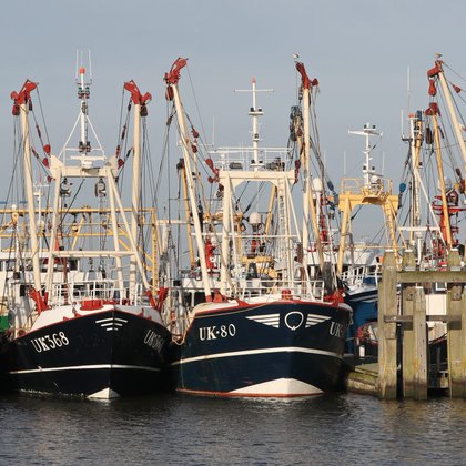 Image for twitter card