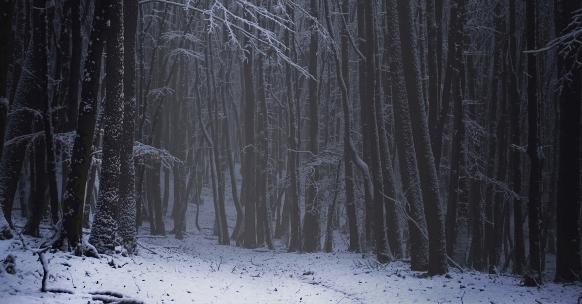 goderbug's tweet card. The Dark Winter exercise, held at Andrews AFB, Washington, DC, June 22-23, 2001, portrayed a fictional scenario depicting a covert smallpox attack on US citizens. The scenario is set in 3 successive...