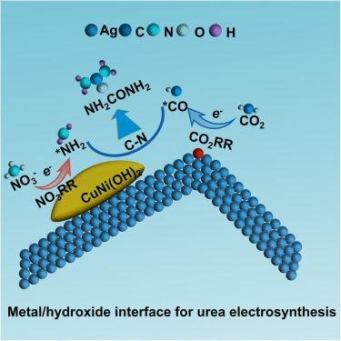 CellRepPhysSci's tweet card. Wu and Wu et al. construct a highly exposed metal/hydroxide interface for electrochemical coupling of carbon dioxide and nitrate reduction reactions toward efficient urea formation. The synthesized...