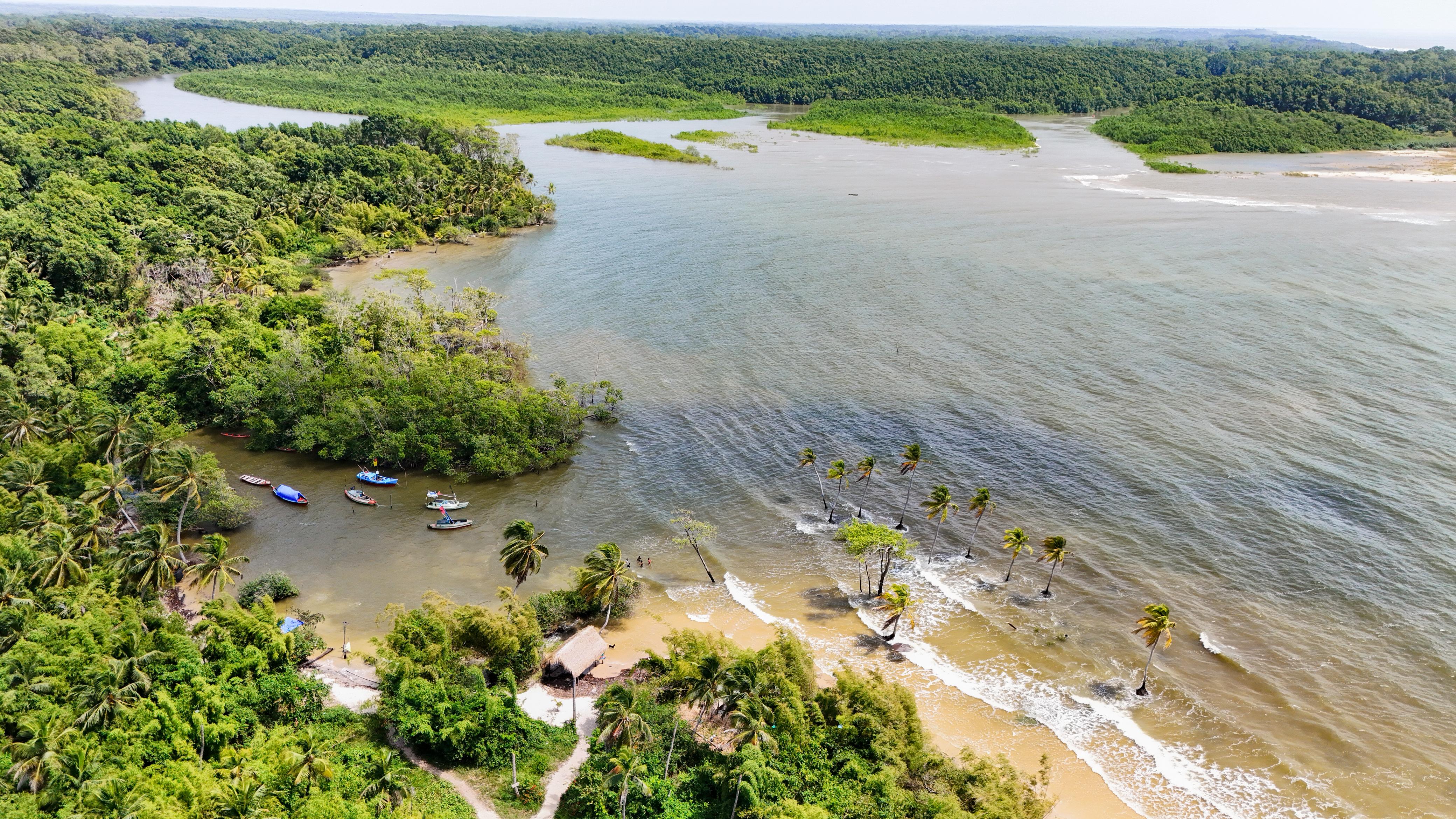 wrcambre's tweet card. Tech4Nature: A smart solution for protecting Brazil's mangroves
