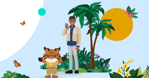 Tweet card summary image