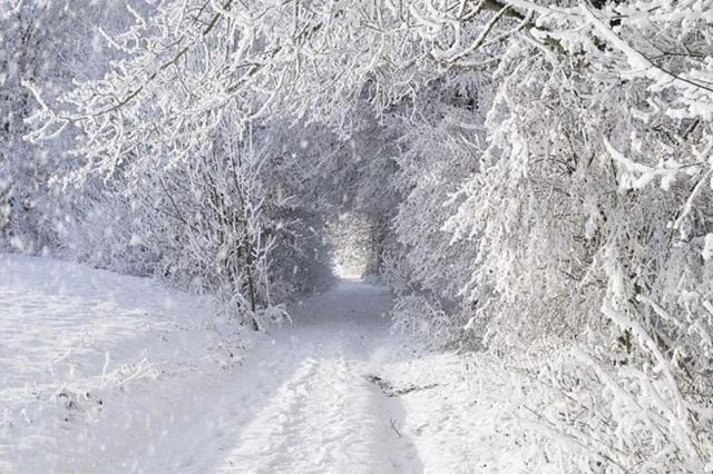 cfleach1's tweet card. You will say then, “Branches were broken off that I might be grafted in.” Well said. Because of unbelief they were broken off, and you stand by faith. Do not be haughty, but fear. (Romans 11:19-20 …