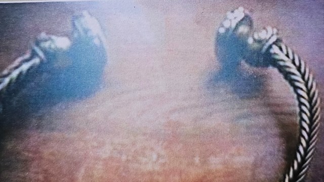 Tess_Machling's tweet card. by Tess Machling [A download/print PDF version can be found at the end of the paper] This paper can be cited as: DOI 10.5281/zenodo.14193776 Introduction A few months ago, I received an email …