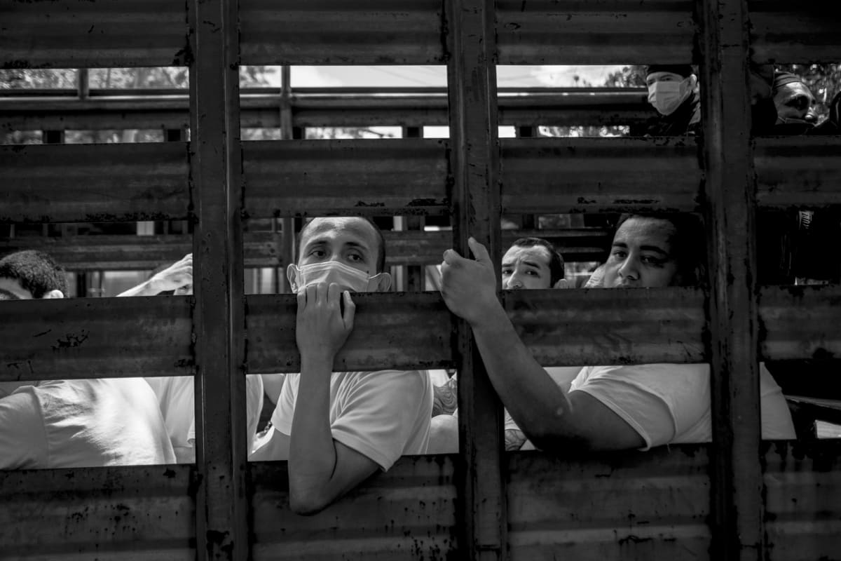 CronistaOscar's tweet card. El Faro ha obtenido testimonios de personas que pasaron por las cárceles durante el régimen de excepción...