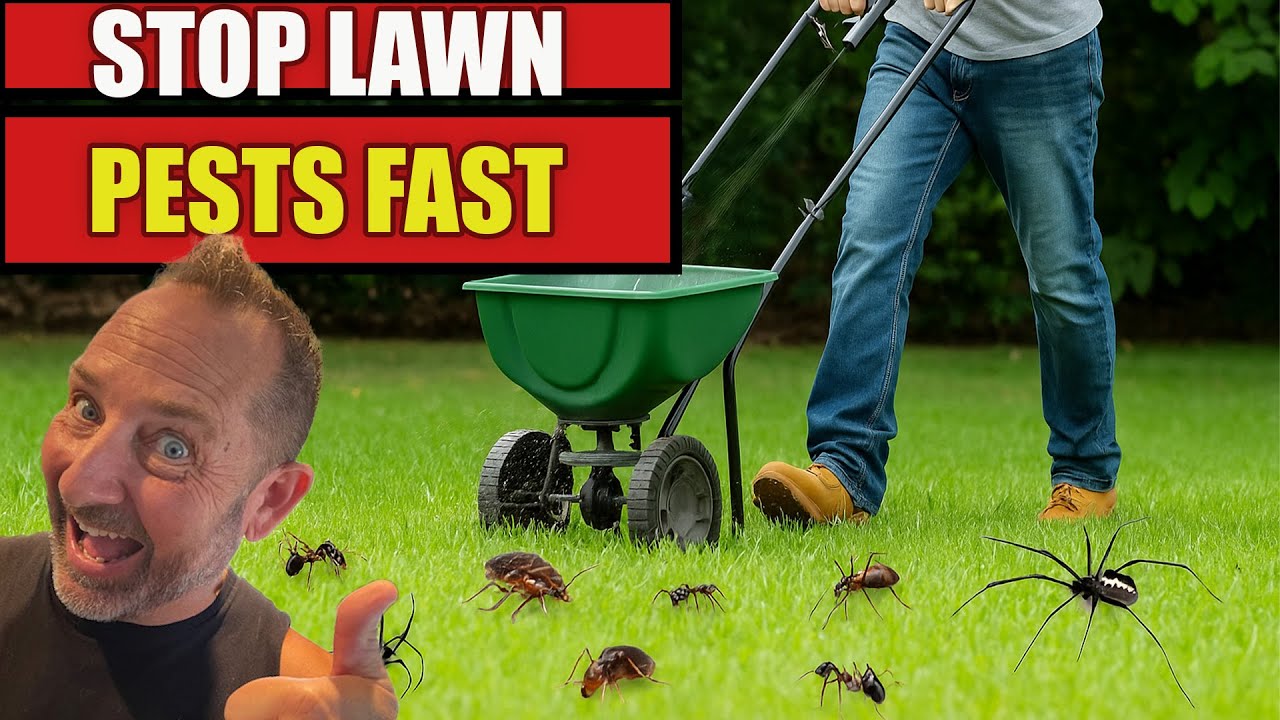 HowToPest's tweet card. Best Lawn Granules for Pest Control | Talstar XTRA vs Wisdom vs...