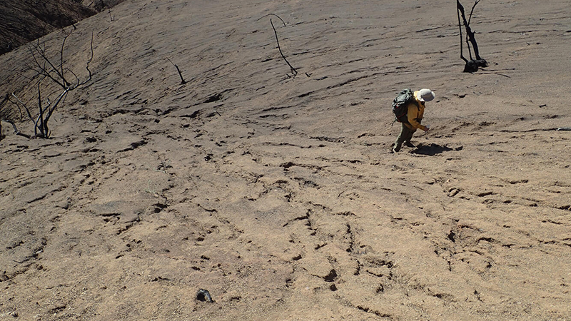 UCLAengineering's tweet card. Slopes burned by wildfires are susceptible to erosion, landslides, and debris flows. Fires affect physical, chemical, and biological