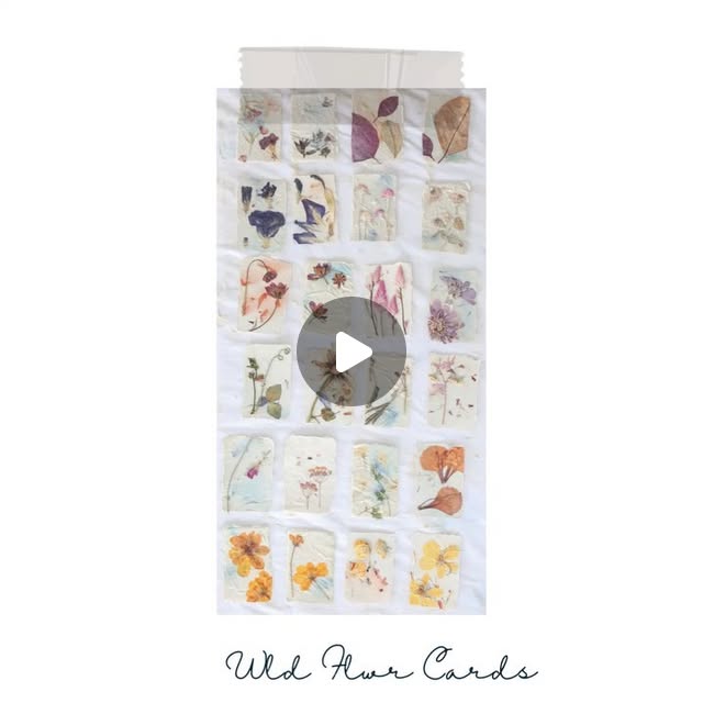 IntrovertlyB's tweet card. At the Garden-Ohm Weeds and Wildflowers by Chanua (@thegardenohm) • Instagram video