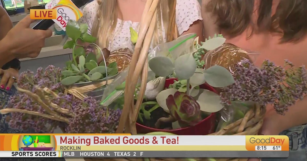 RocklinUnified's tweet card. Students at Spring View Middle School in Rocklin are seeing the fruits of their labor and are using ingredients from their school's garden to bake goods and make tea! Lori Wallace is there taking a...