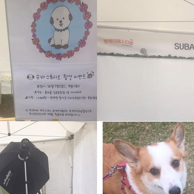 DailyTracking's tweet card. Si-A Park (@mihyun.park.794) • Instagram photo