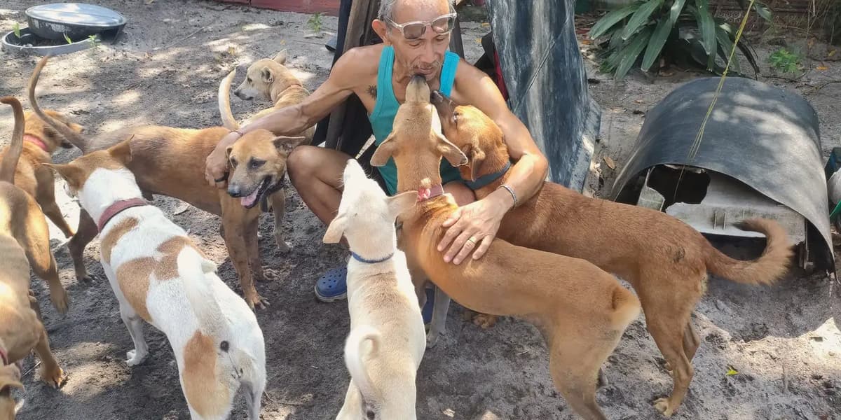 devsbr's tweet card. Requiring some RM380,000 to keep its mission alive, shelter founder Jeffrey Tan is reaching out to animal lovers near and far for help.