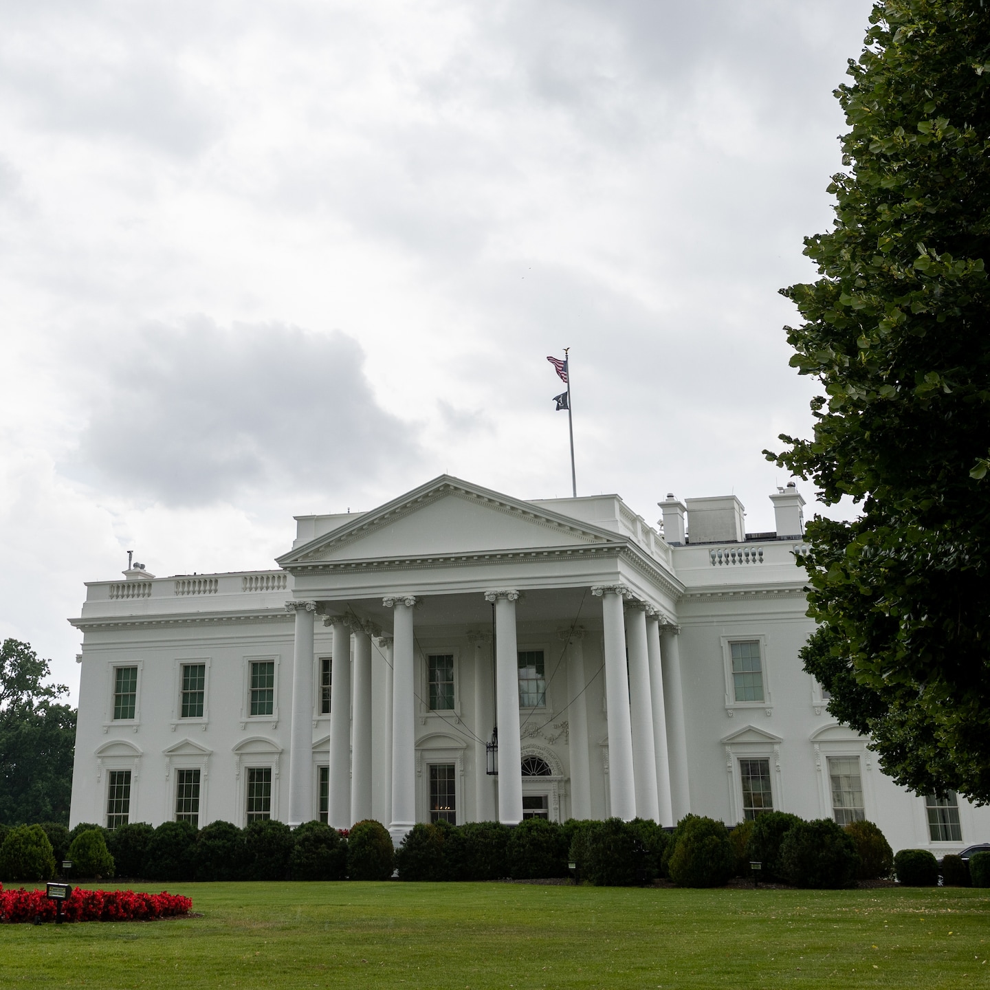 TomFitton's tweet card. Cocaine was found on the ground floor of the White House, near where visitors taking tours of the West Wing leave their cellphones.