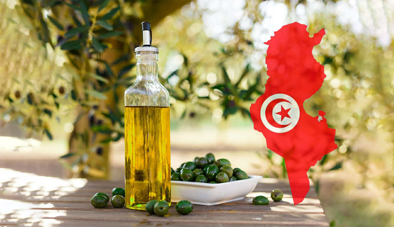 CarthageMagTN's tweet card. Tunisia is on the brink of achieving a record-breaking olive oil harvest in 2025, with projections estimating production between 400,000 and 500,000 tons.