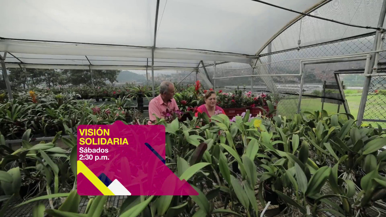 Promedios_SAS's tweet card. Madres de Moravia con Visión Solidaria