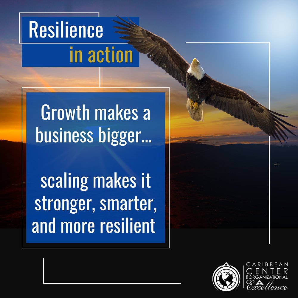 meparker7's tweet card. When businesses talk about expanding, the terms growth and scaling are often used interchangeably. However, they represent two very different paths; one that simply makes a company bigger, and...