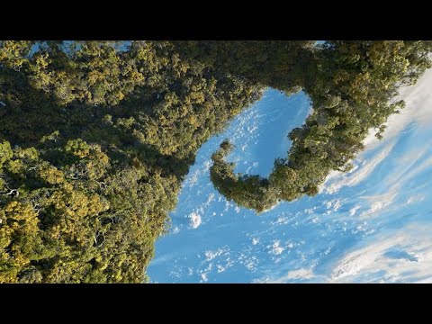 CF_illustration's tweet card. Space Jungle.