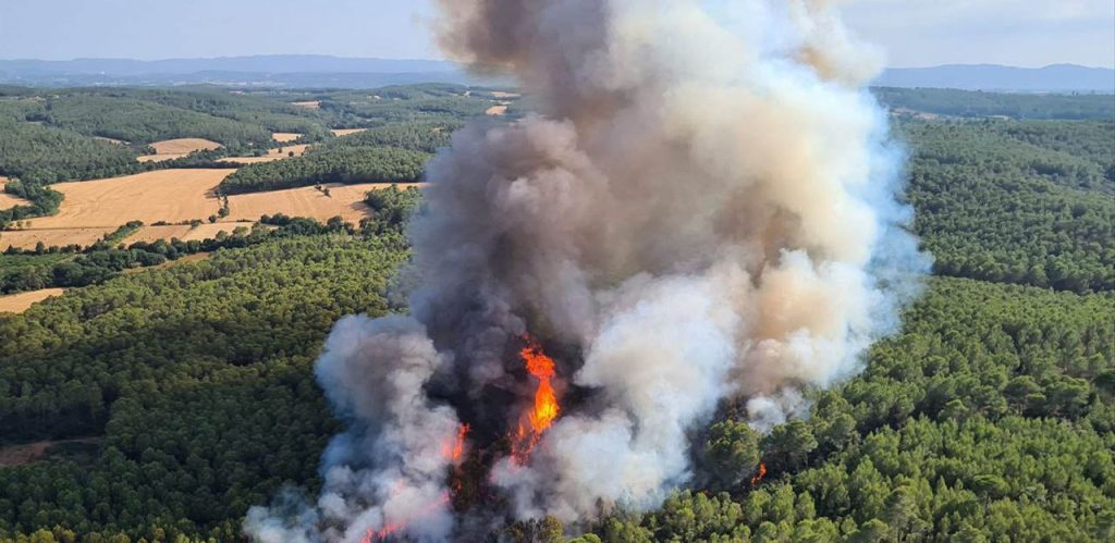 CETEMAS's tweet card. Edufire toolkit Herramientas educativas Haga Clic Aquí PREVENIMOS INCENDIOS FORESTALES INVIRTIENDO EN EDUCACIÓN Nuestro objetivo es educar a los estudiantes de secundaria en la prevención de incend...