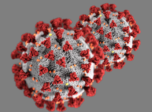 isciencejournal's tweet card. Widespread, global failures at multiple levels in the COVID-19 response led to millions of preventable deaths and reversed progress made towards the UN Sustainable Development Goals (SDGs) in many...