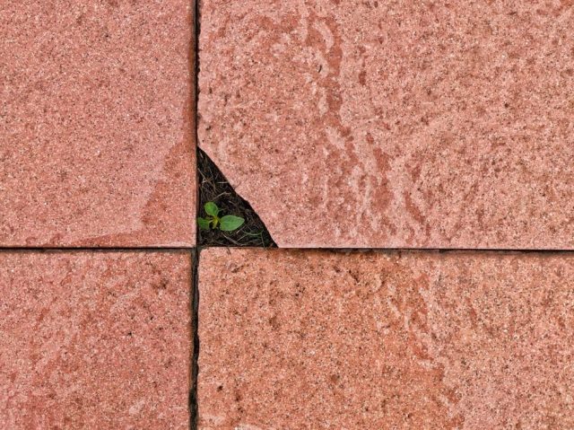 ADHDsurprise's tweet card. Photo by sum+it on Pexels.com It was a year ago this week that my therapist first suggested that I could have ADHD. So in that way, I consider this my first year of having ADHD but I also recognize…