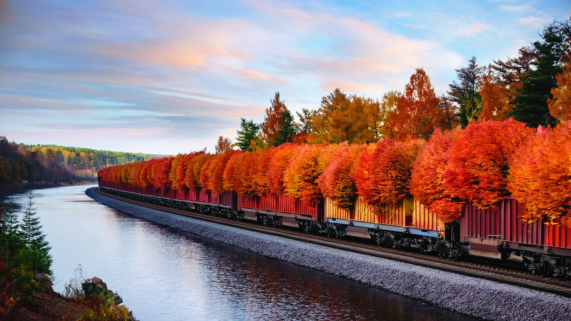 jfstrees's tweet card. Here in the Pacific Northwest, hints of autumn are in the air and in our fields. We invite you hop aboard the fall color express.