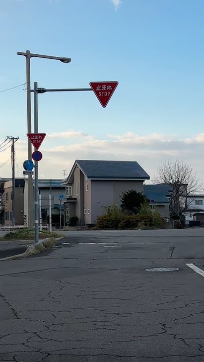 SKYART74113149's tweet card. 函館の様子２０２５年１１月２２日 #shorts #函館 #函館の天気 #函館の風景 #函館の景色 #函館ドライブ