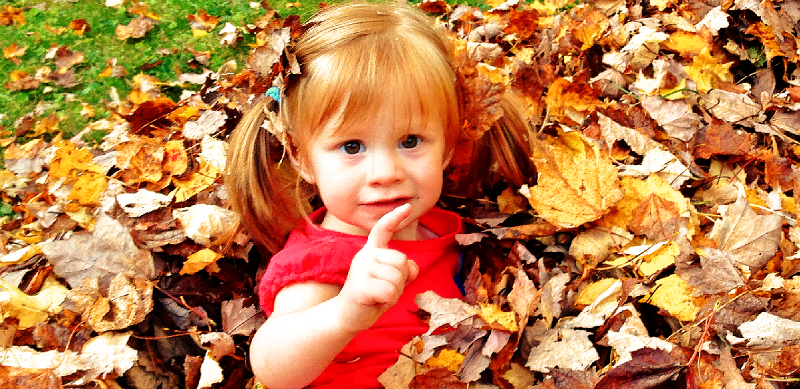 legogeek's tweet card. Yep the Drackley's are still around - just been a little busy. Hello again :-)