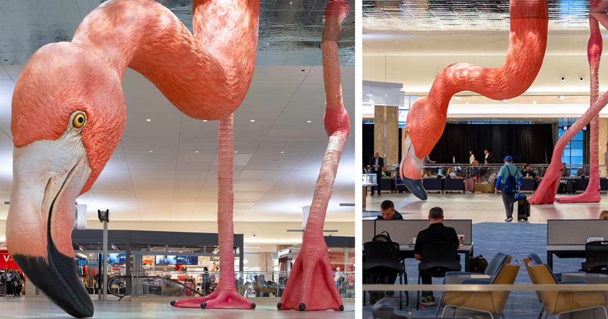 blogdockerfb's tweet card. "Home," a floor-to-ceiling sculpture by Matthew Mazzotta of a lifelike flamingo, taps into the multiple meanings of its title.