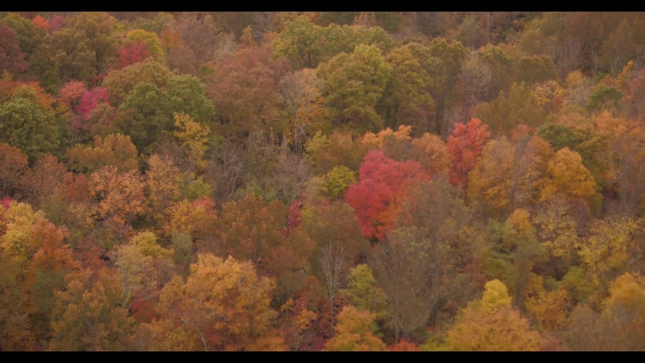 AerialvisionFjs's tweet card. Triple V, LLC. Aerial Solutions; Full Res Joyride