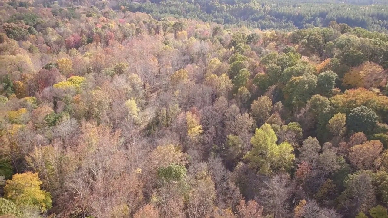 AerialvisionFjs's tweet card. Triple V, LLC. Aerial Solutions