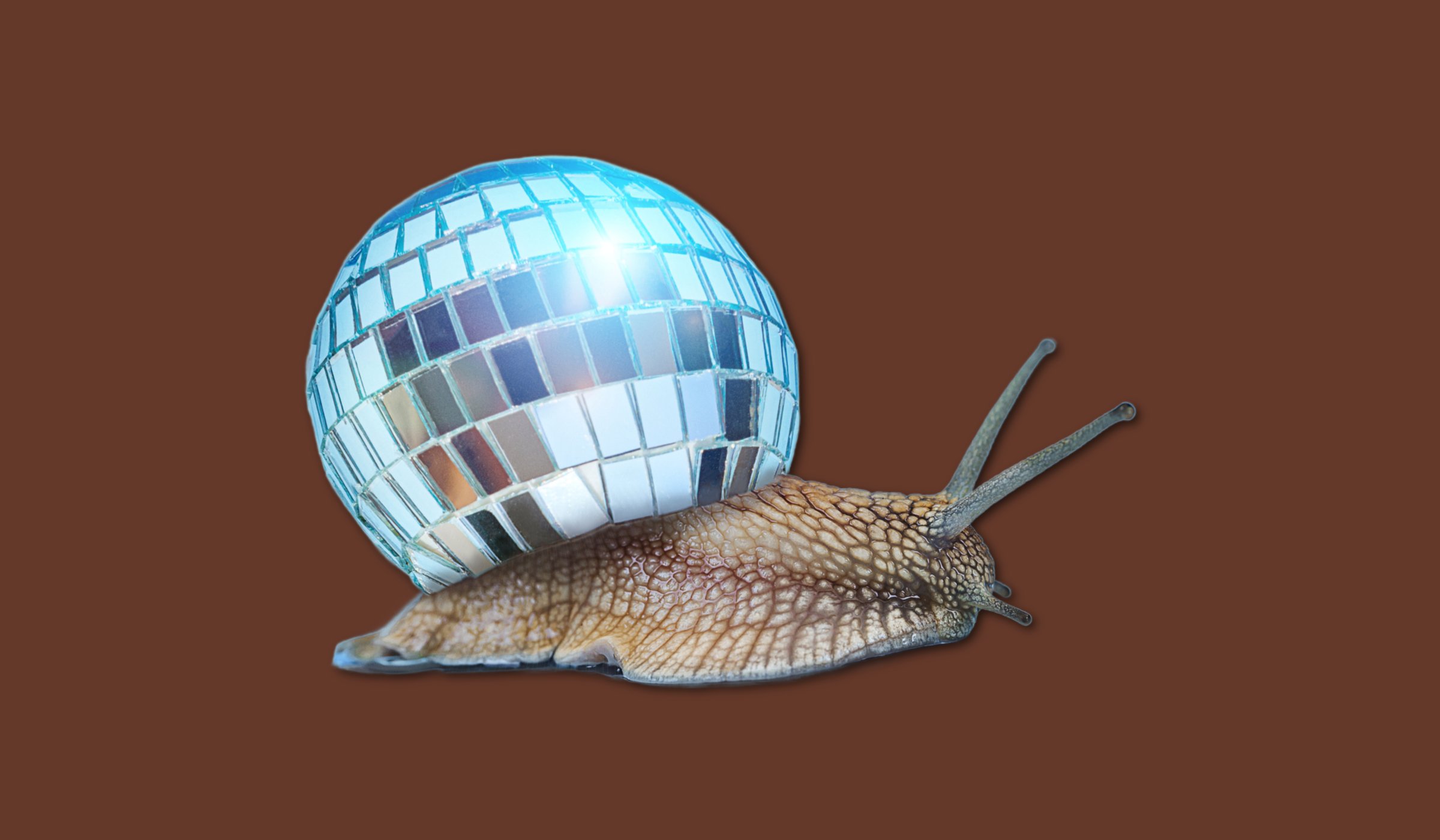 Longreads's tweet card. Showcasing stories from Hannah S. Palmer, Jeremy Thomas Gilmer, Spencer Campbell, Mia Sato, and Dina Gachman.