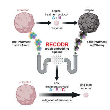 Gilbertson_Lab's tweet card. Jassim et al. introduce a graph-embedding computational pipeline (RECODR) that measures changes in gene co-expression context during cancer treatment. RECODR enables the design of highly effective...